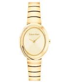 Calvin Klein CK25100147 karóra